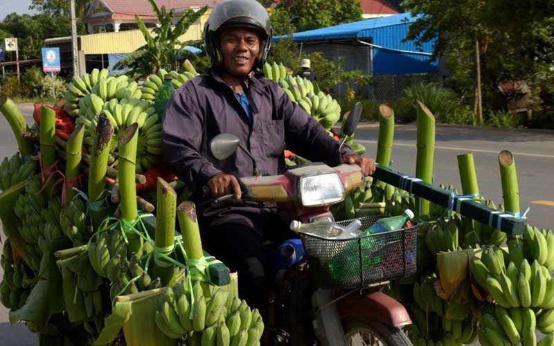 تصاویر : دیدنیهای امروز چهارشنبه ۱۰ آبانماه