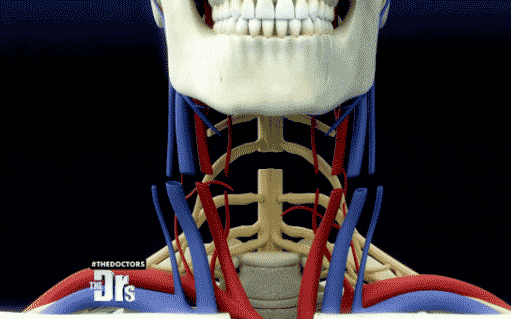 آیا عمل پیوند سر انسان حقیقت دارد؟