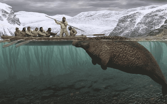 کشف لاشه گاو دریایی عجیب در روسیه