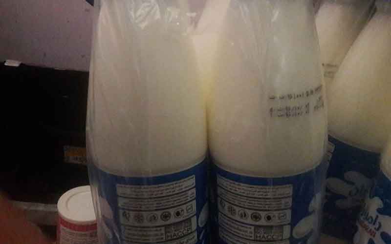 شیر و ماست گران شد