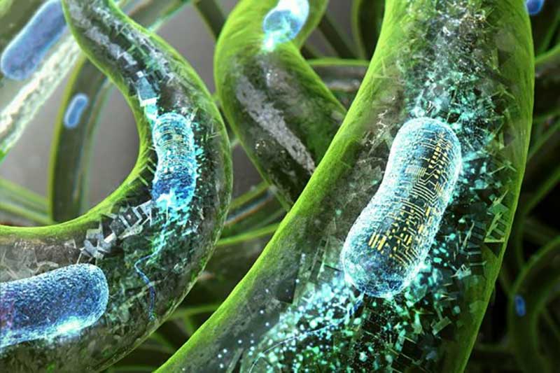 خالکوبی زنده ؛ ساخت ردیاب سلامتی فوق پیشرفته با پرینت سه بعدی باکتری!