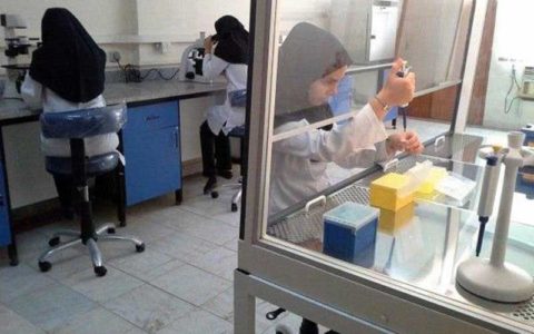 ارتباط رفتارهای پرخطر جنسی و ابتلا به سرطان سیروکس 1 ارتباط رفتارهای پرخطر جنسی و ابتلا به سرطان سیروکس