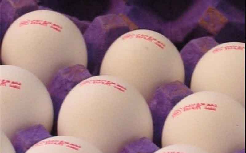 واکنش سازمان حمایت به گرانی تخم مرغ