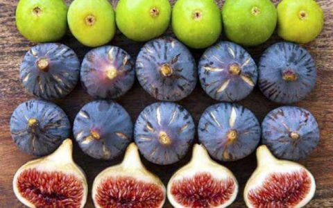 درمان بیماری ها بااین خوراکی ، از اگزما تا دیابت