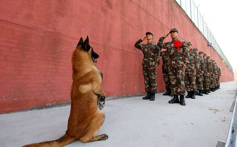 تصاویر : دیدنیهای امروز پنجشنبه ۹ آذرماه