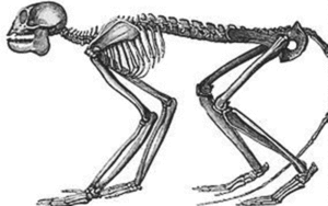 75