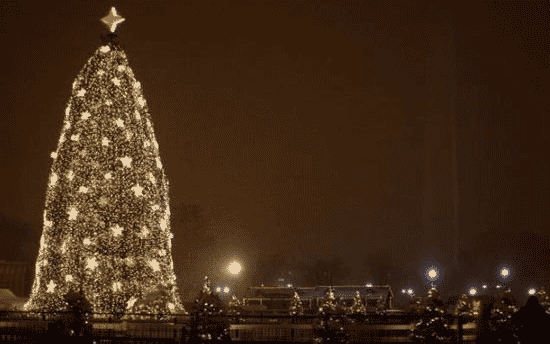 جشن کریسمس در کشورهای مختلف