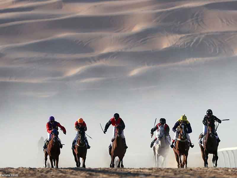 امروز به روایت تصویر