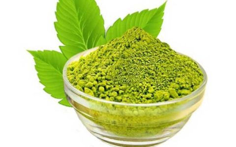 گیاهی بی نظیر، با خواصی بی نظیر 1 گیاهی بی نظیر، با خواصی بی نظیر 26 17 سدر, گیاه سدر, گیاه