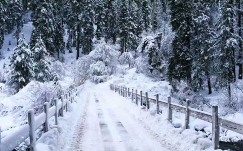 ببینید: مرگبارترین برف‌های تاریخ؛ برف و بوران ایران در سال 1350 با 4 هزار کشته