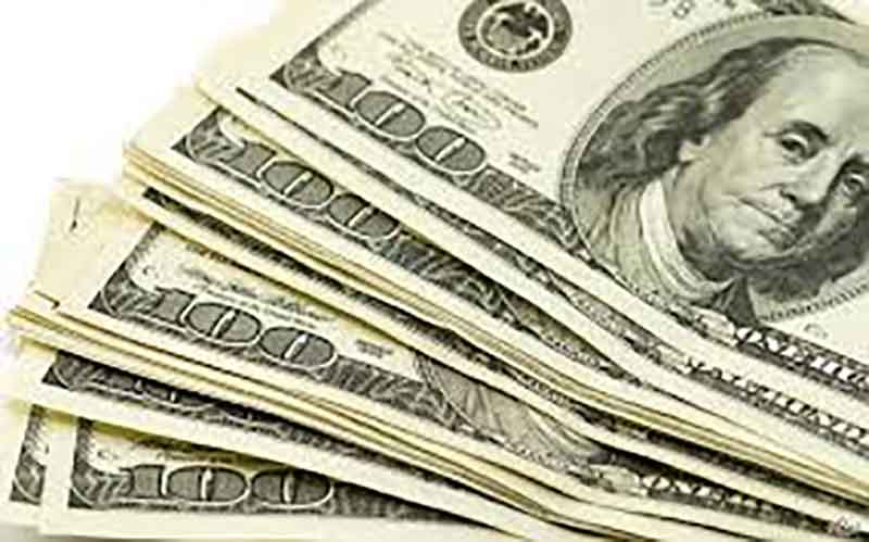 قیمت ارز باید کمتر از 4000 تومان باشد/ قیمت دلار در روزهای آینده کاهش می یابد