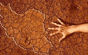 44
