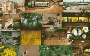 45