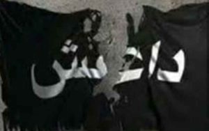 67