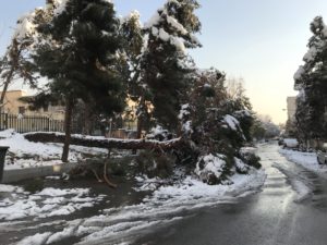 IMG_1483