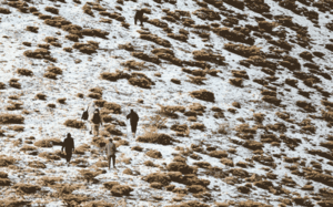 30