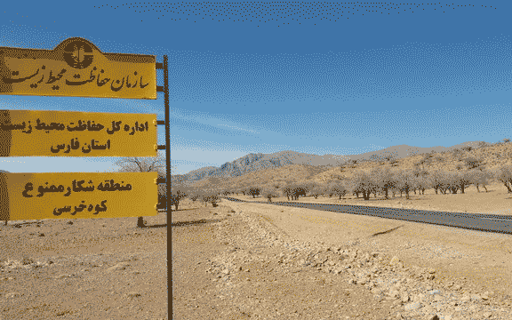 «برق» آرامگاه کوروش را می گیرد