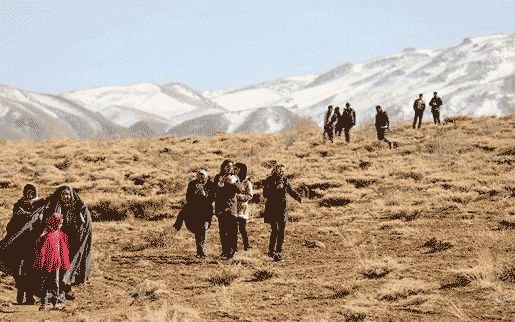 حضور سلفیبگیران در منطقه سقوط هواپیما