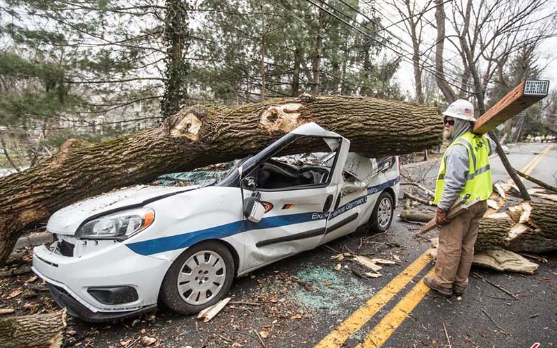 تصاویر : دیدنیهای امروز چهارشنبه ۱۶ اسفندماه