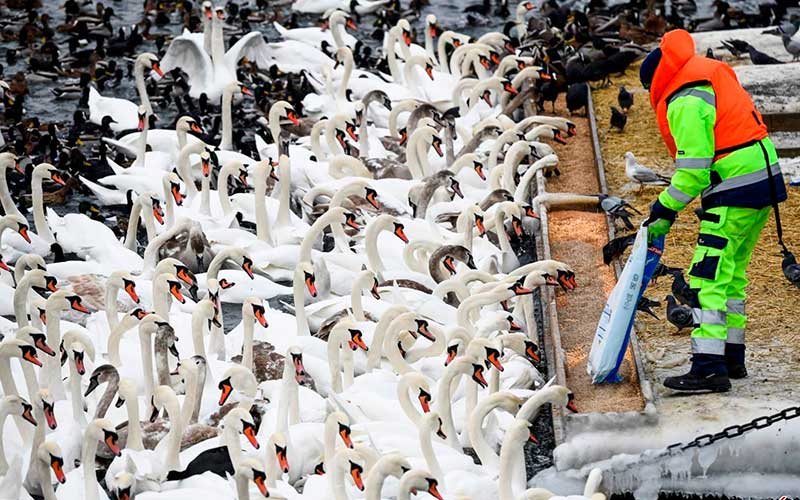 تصاویر : دیدنیهای امروز چهارشنبه ۱۶ اسفندماه