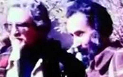 ویدئویی کمتر دیده شده از سهراب سپهری، داریوش مهرجویی، ابراهیم گلستان و داریوش شایگان در پیک‌نیک