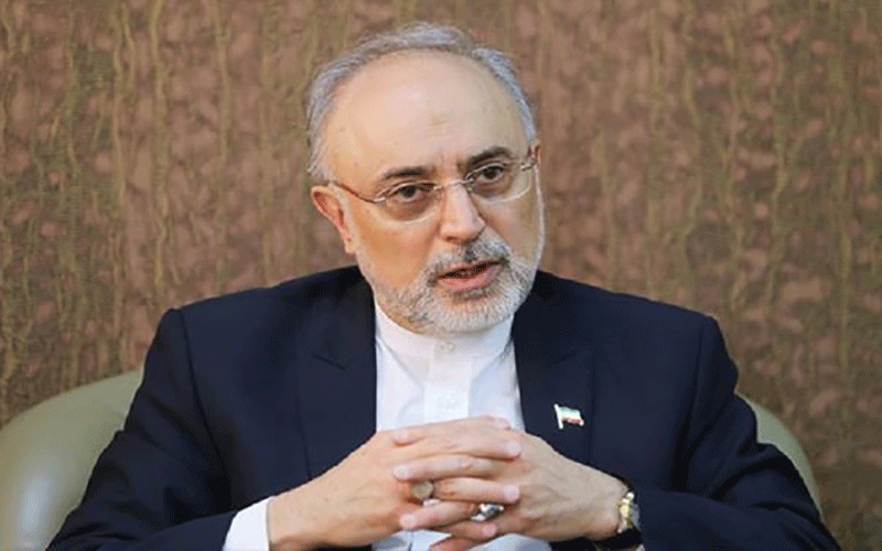 صالحی: نیروگاه بوشهر از سال ۹۲ تا کنون ۲۸ تراوات ساعت برق تولید کرده