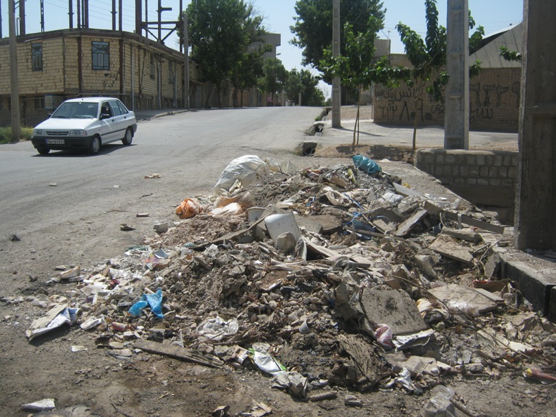 پارتی که شهرداری برای موشهای پایتخت برگزار میکند/عکس