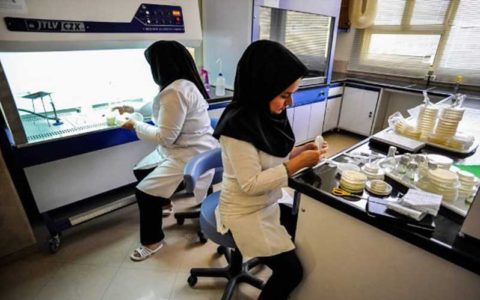 جمعآوری آلودگیهای نفتی از دریا توسط باکتری های گرافنی 1 جمعآوری آلودگیهای نفتی از دریا توسط باکتری های گرافنی