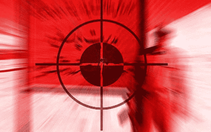 33