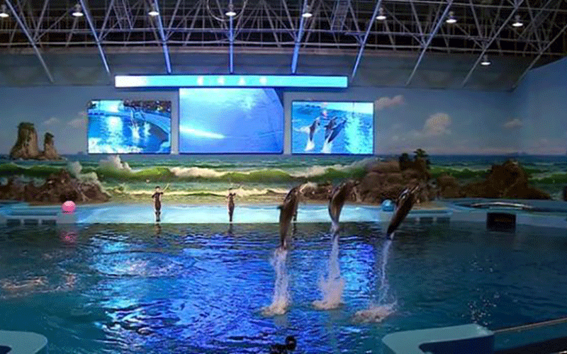 ساخت جهانی متفاوت در کرهشمالی!