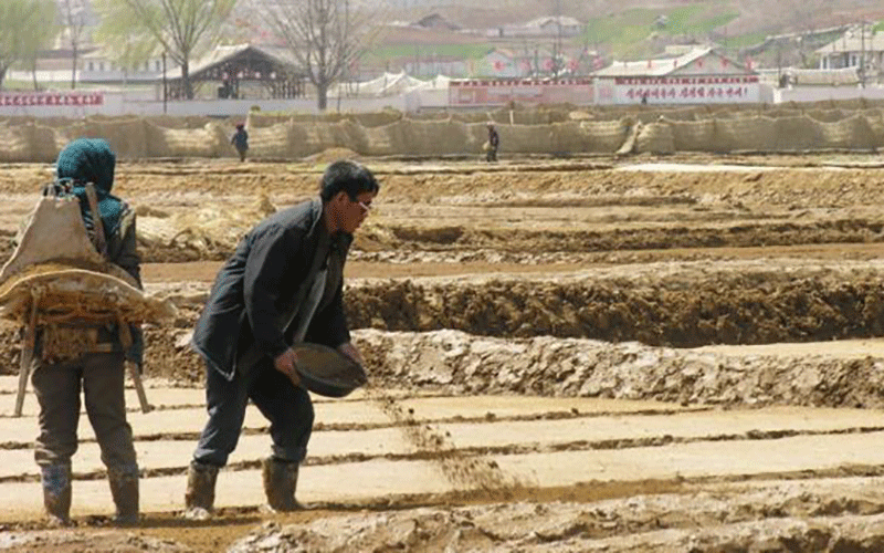 ساخت جهانی متفاوت در کرهشمالی!