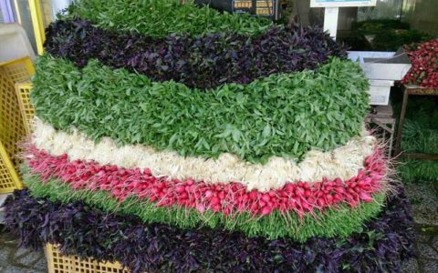 مصرف سبزی در پیشگیری از چاقی و دیابت موثر است 1 مصرف سبزی در پیشگیری از چاقی و دیابت موثر است