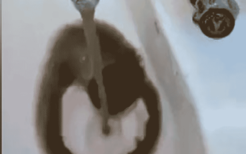 56