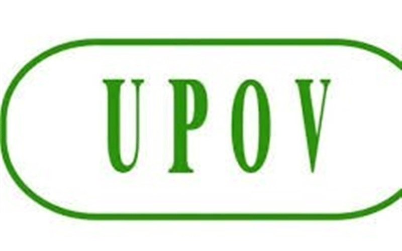 پیوستن به UPOV ریلگذاری برای خروج سرمایههای مادی و معنوی است