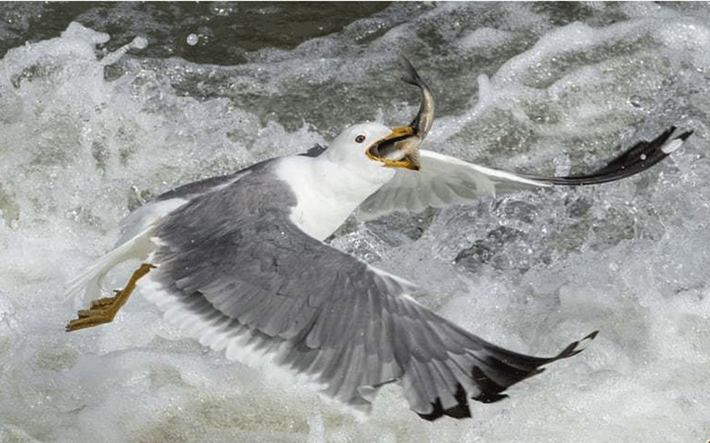 دیدنیهای امروز شنبه ۲۹ اردیبهشت ماه