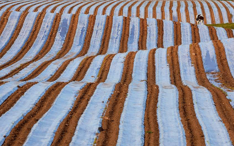 دیدنیهای امروز شنبه ۲۹ اردیبهشت ماه