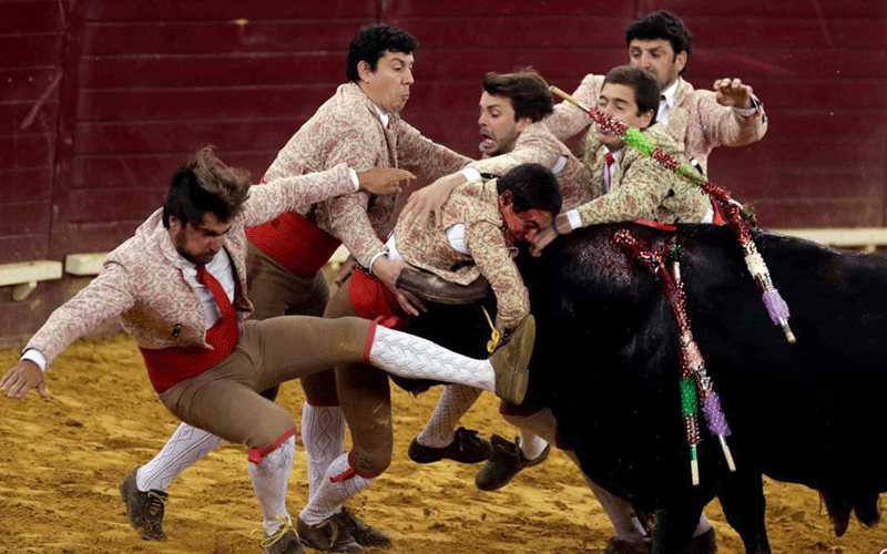 دیدنیهای امروز شنبه ۲۹ اردیبهشت ماه