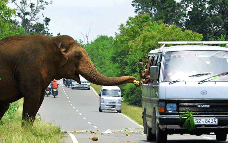 دیدنیهای امروز پنج شنبه ۱۳ اردیبهشت ماه