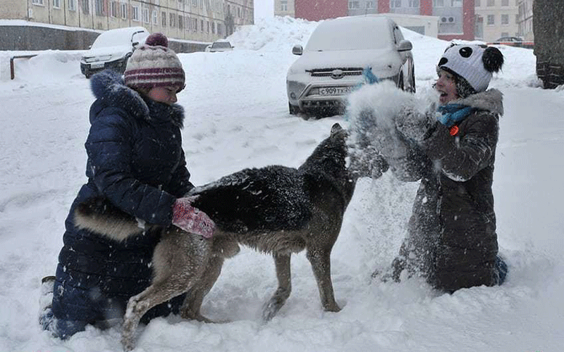 دیدنیهای امروز شنبه ۲۹ اردیبهشت ماه