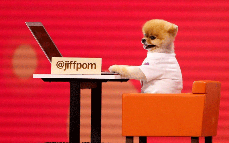 دیدنیهای امروز پنج شنبه ۱۳ اردیبهشت ماه