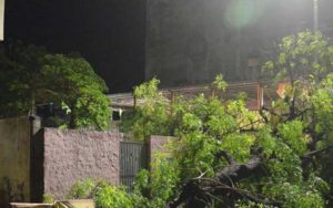 23