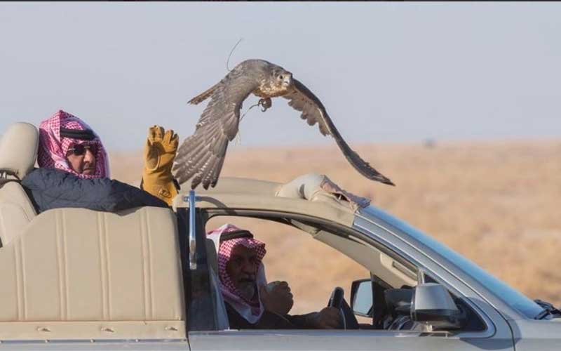 «بننایف» این روزها چه میکند؟+ تصاویر