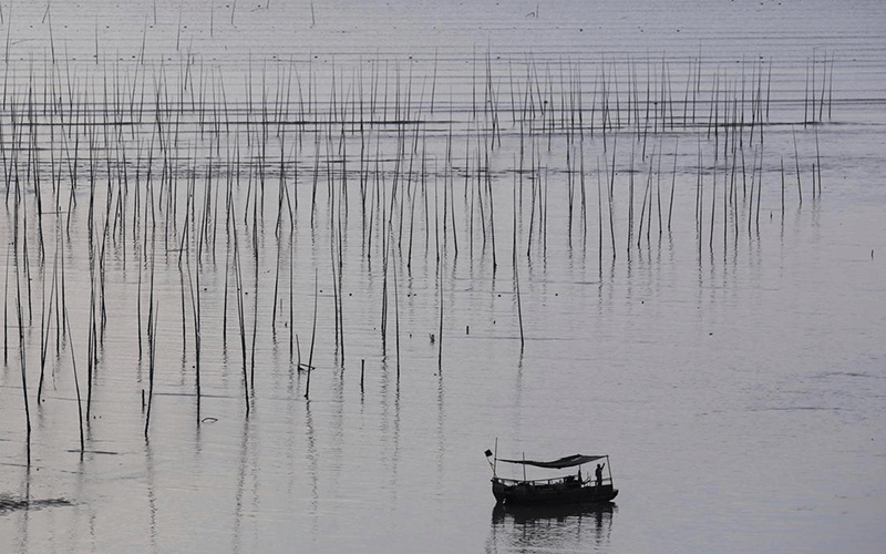 دیدنیهای امروز شنبه ۲۹ اردیبهشت ماه