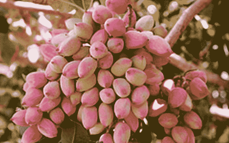 50