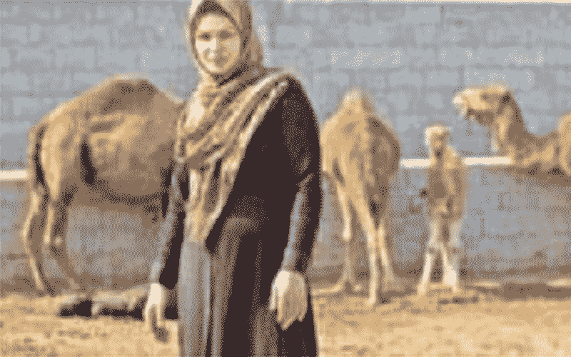 پرورش شتر توسط یک زن در تبریز