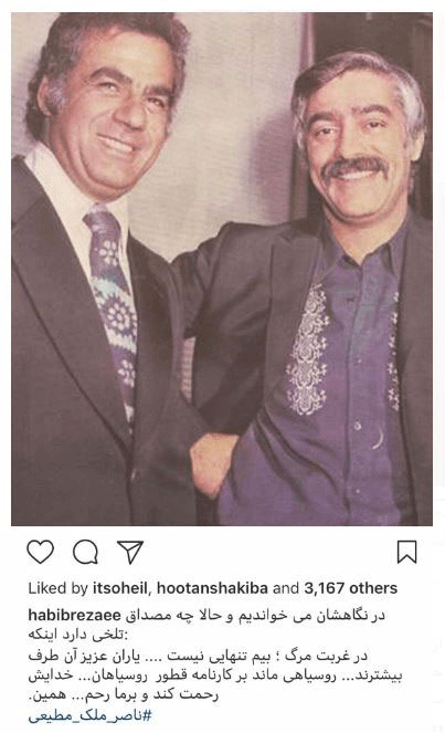 کنایه تُند حبیب رضایی درباره مرگ ملکمطیعی