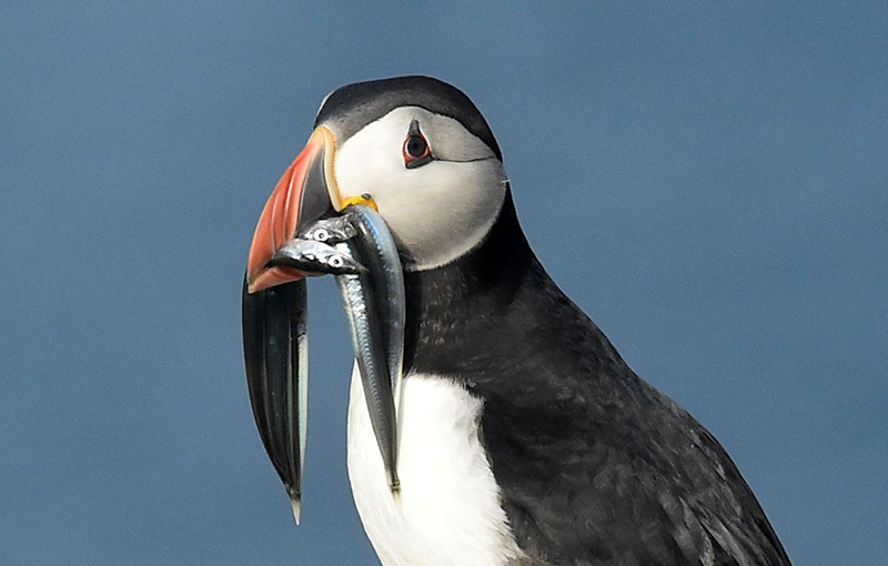 دیدنیهای امروز پنجشنبه ۲۴ خردادماه