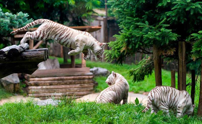 دیدنیهای امروز یکشنبه ۲۷ خردادماه