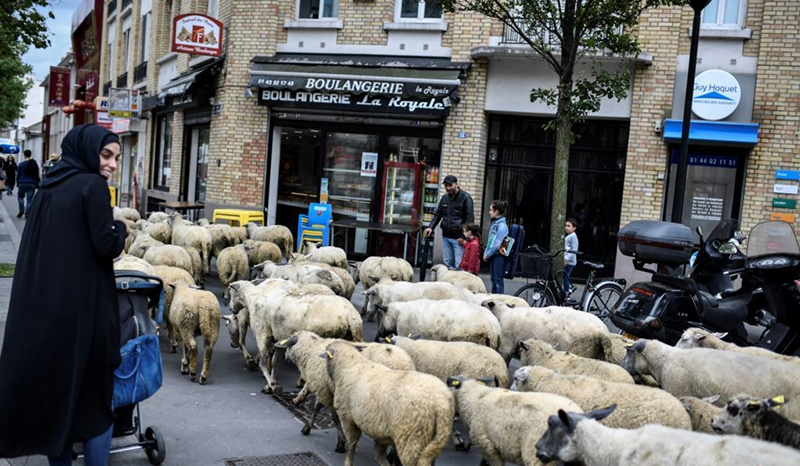 دیدنیهای امروز پنجشنبه ۲۴ خردادماه