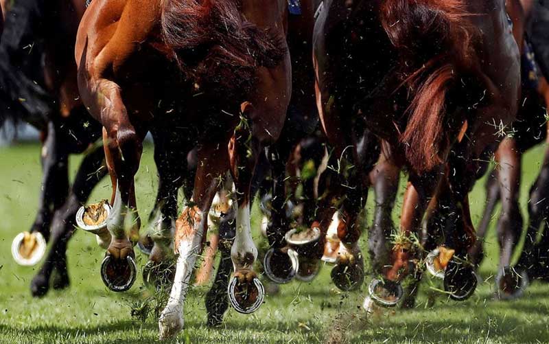 دیدنیهای امروز جمعه ۱ تیرماه